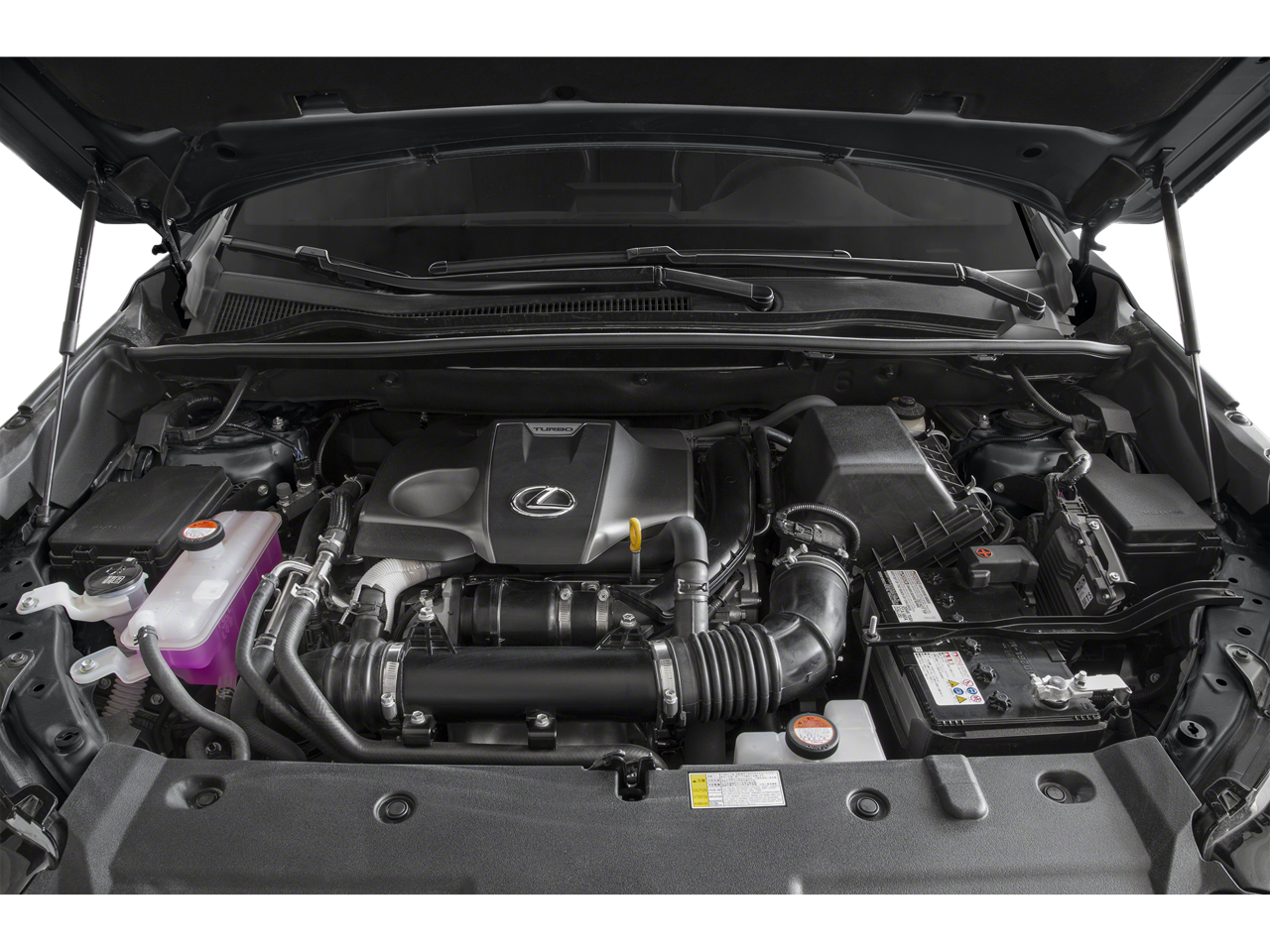 2015 Lexus NX Turbo F SPORT