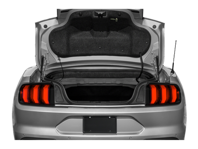 2020 Ford Mustang EcoBoost Premium Convertible